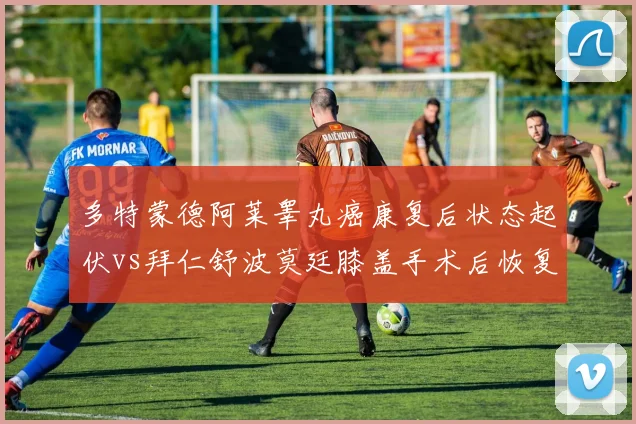 多特蒙德阿莱睾丸癌康复后状态起伏vs拜仁舒波莫廷膝盖手术后恢复良好，德甲中锋伤病恢复轨迹对比