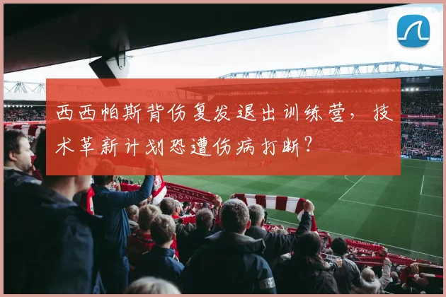 西西帕斯背伤复发退出训练营,技术革新计划恐遭伤病打断?